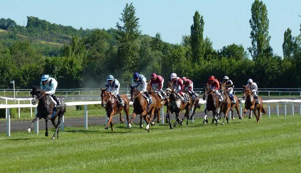 6 Horse Betting Tips to Help You Win More Money