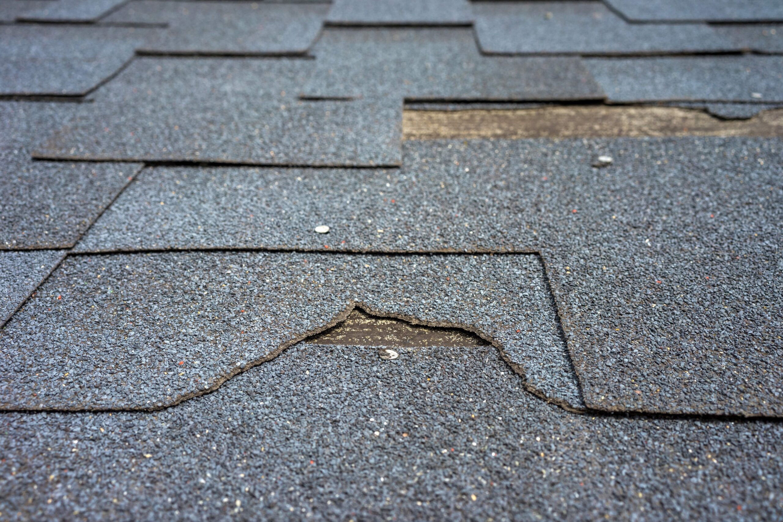 Indicators That You Need A Roof Repair