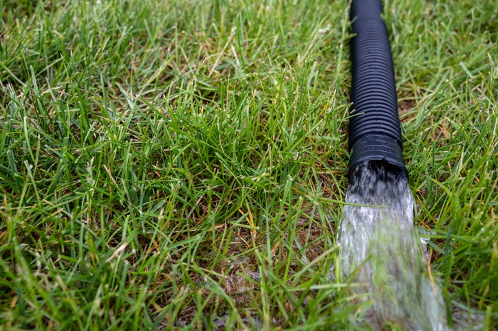 residential sump pump discharging water from the end of a flexible black hose