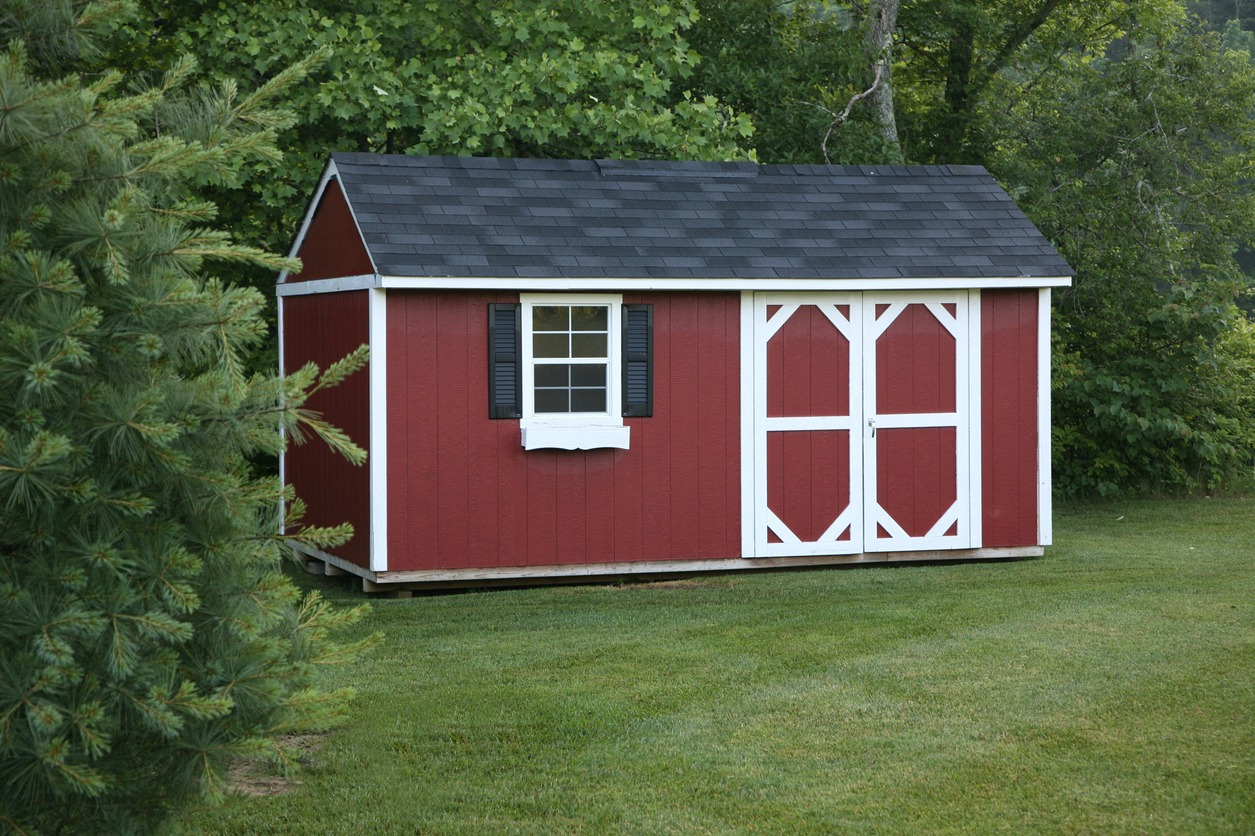 a large backyard shed
