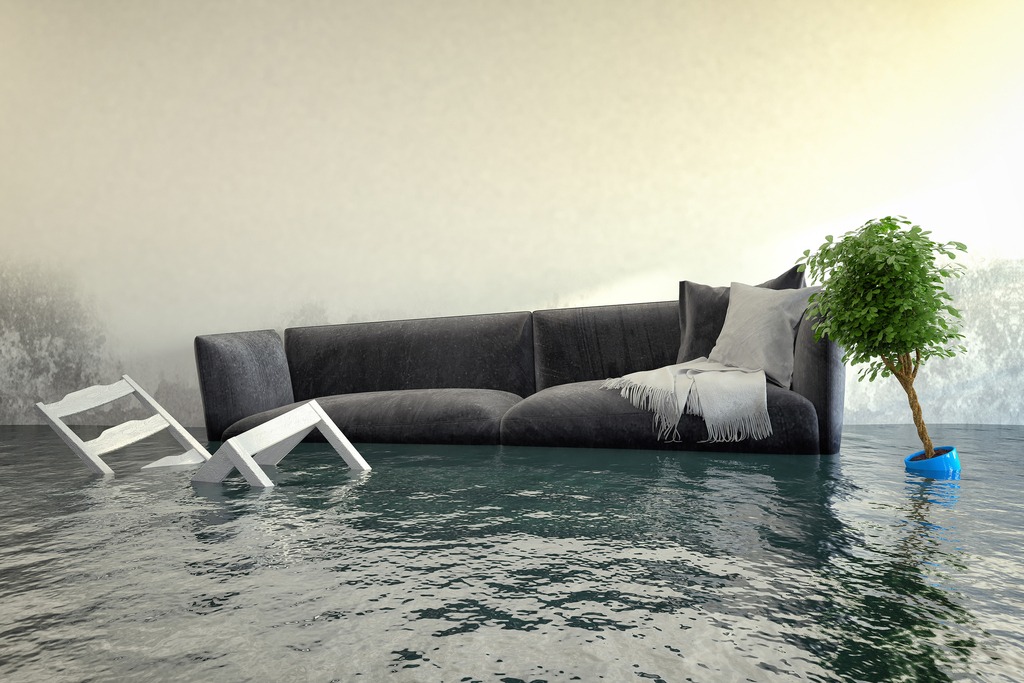 Recovering from the Deluge: Expert Tips on Water Damage Restoration