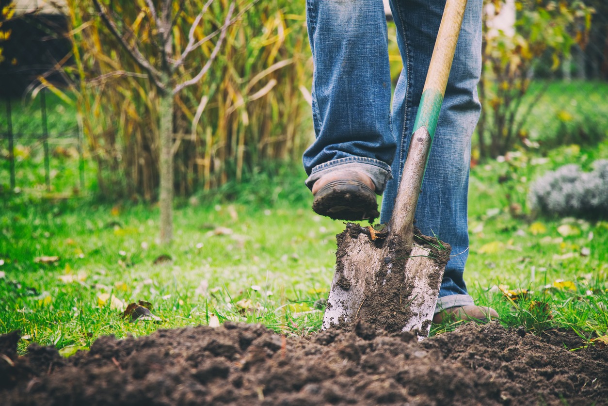 digging using a garden spade
