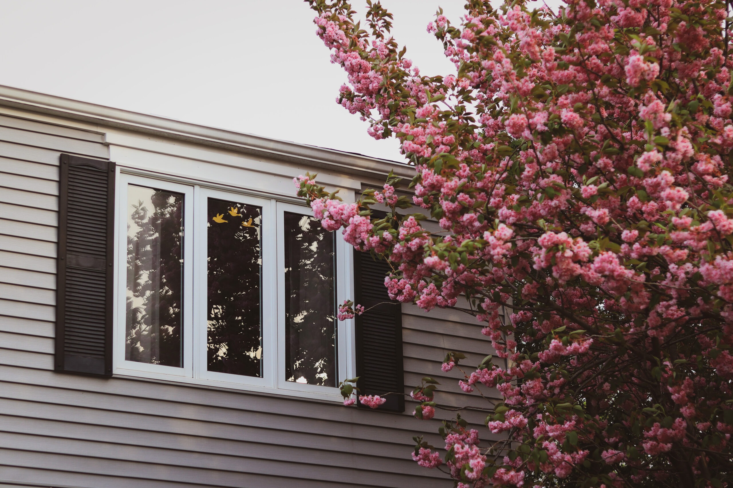 5 Advantages Of Having New Impact Windows And Doors