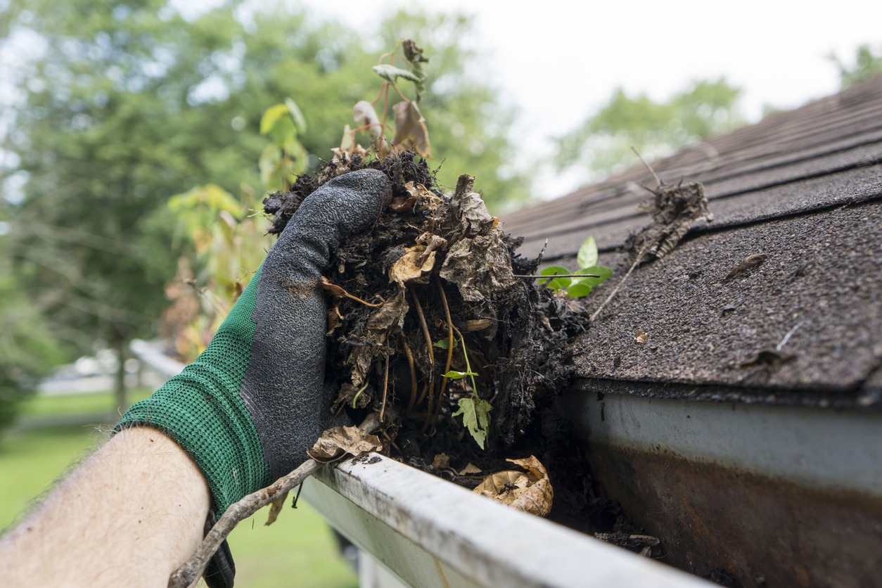 a person cleaning debris in the gutters during the summer