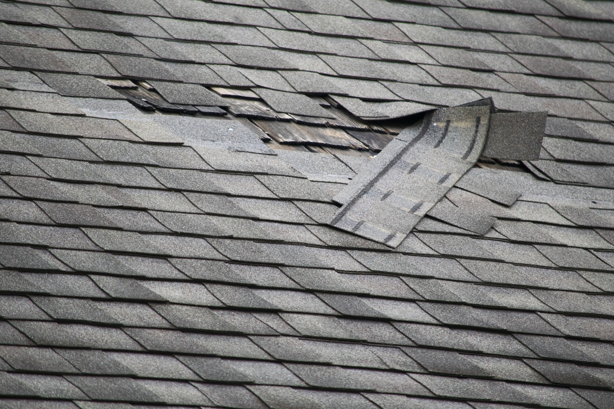 a roof shingle damaged by hail