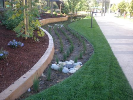 Exploring the Durability of Different Lawn Edging Materials