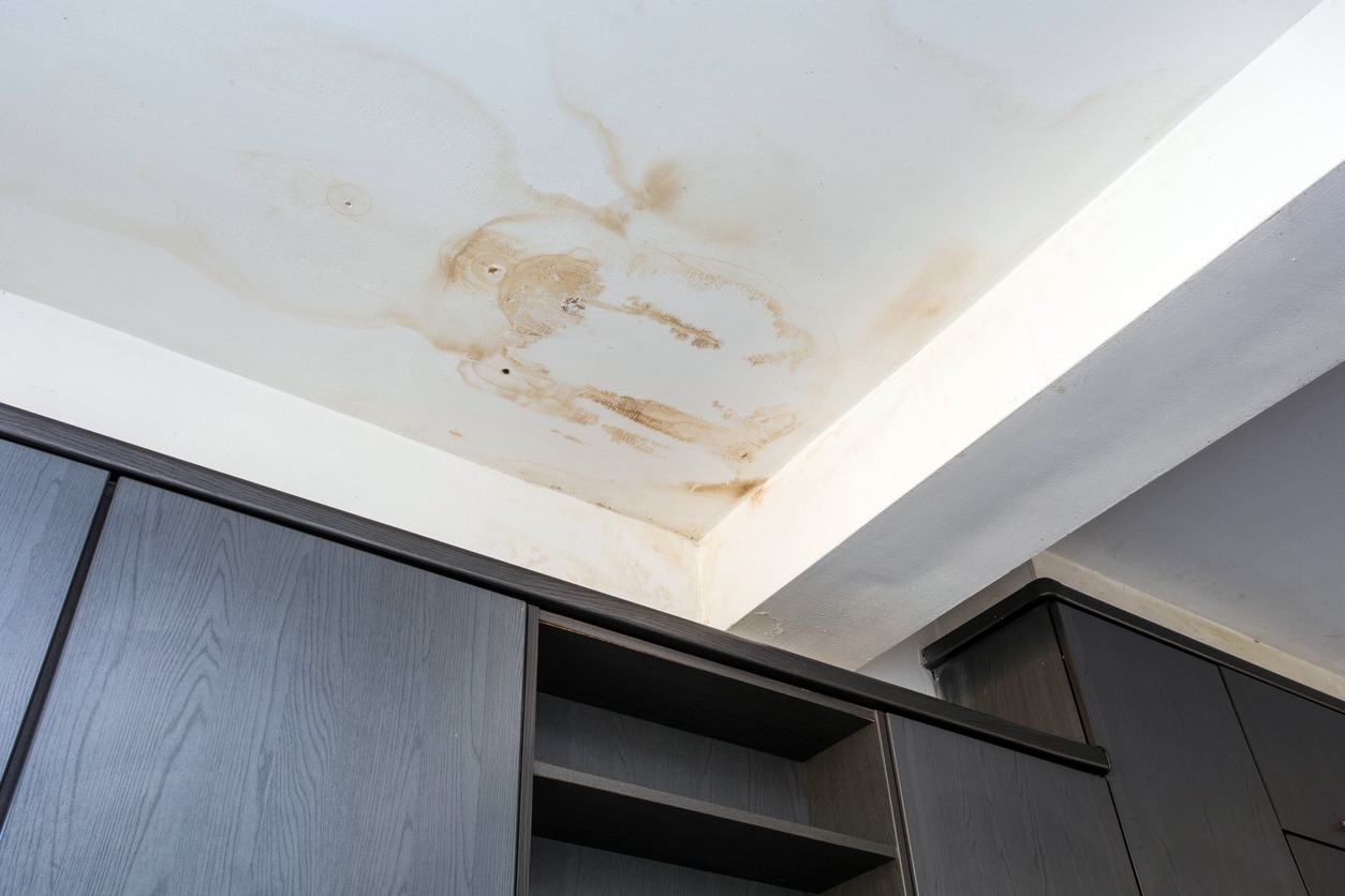 Leaking, Water, Rooftop, Damaged, Ceiling, Stained, Wet, Wall – Building Feature, House, Fungal Mold, Home Interior, Indoors, Rain, Dirty, Repairing, Renovation