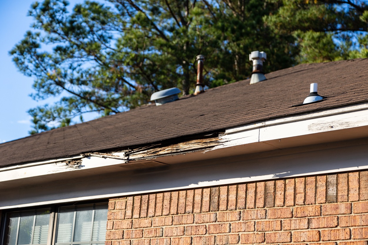 scia board and roof damaged from lack of maintenance