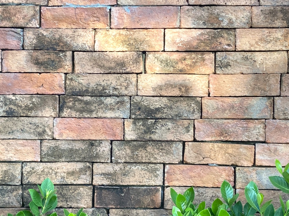 a brick wall with molds