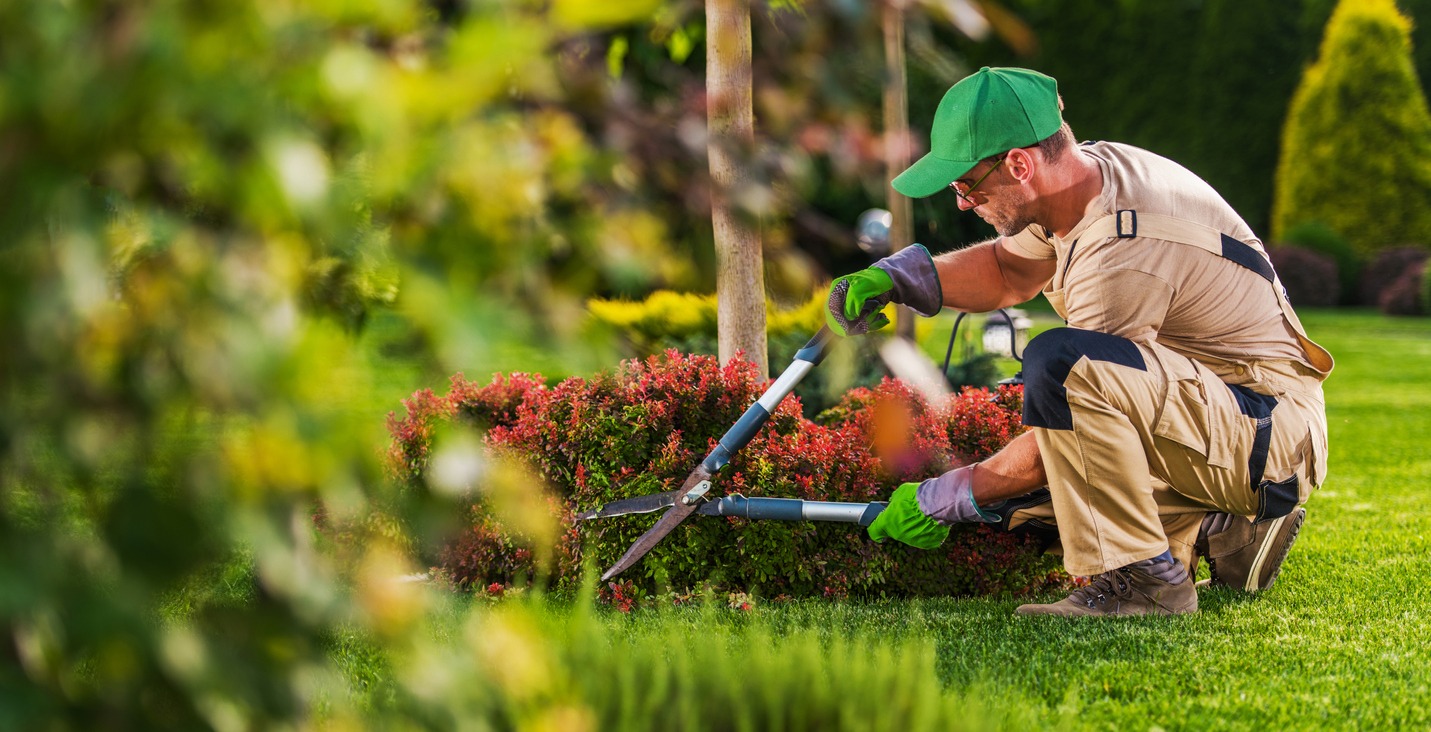 Garden and Landscaping Services Contractor