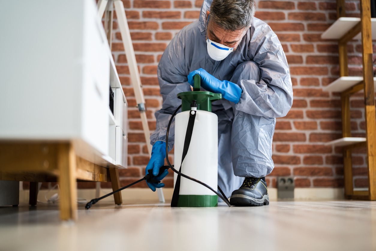 Pest Control Exterminator Services Spraying Insecticide