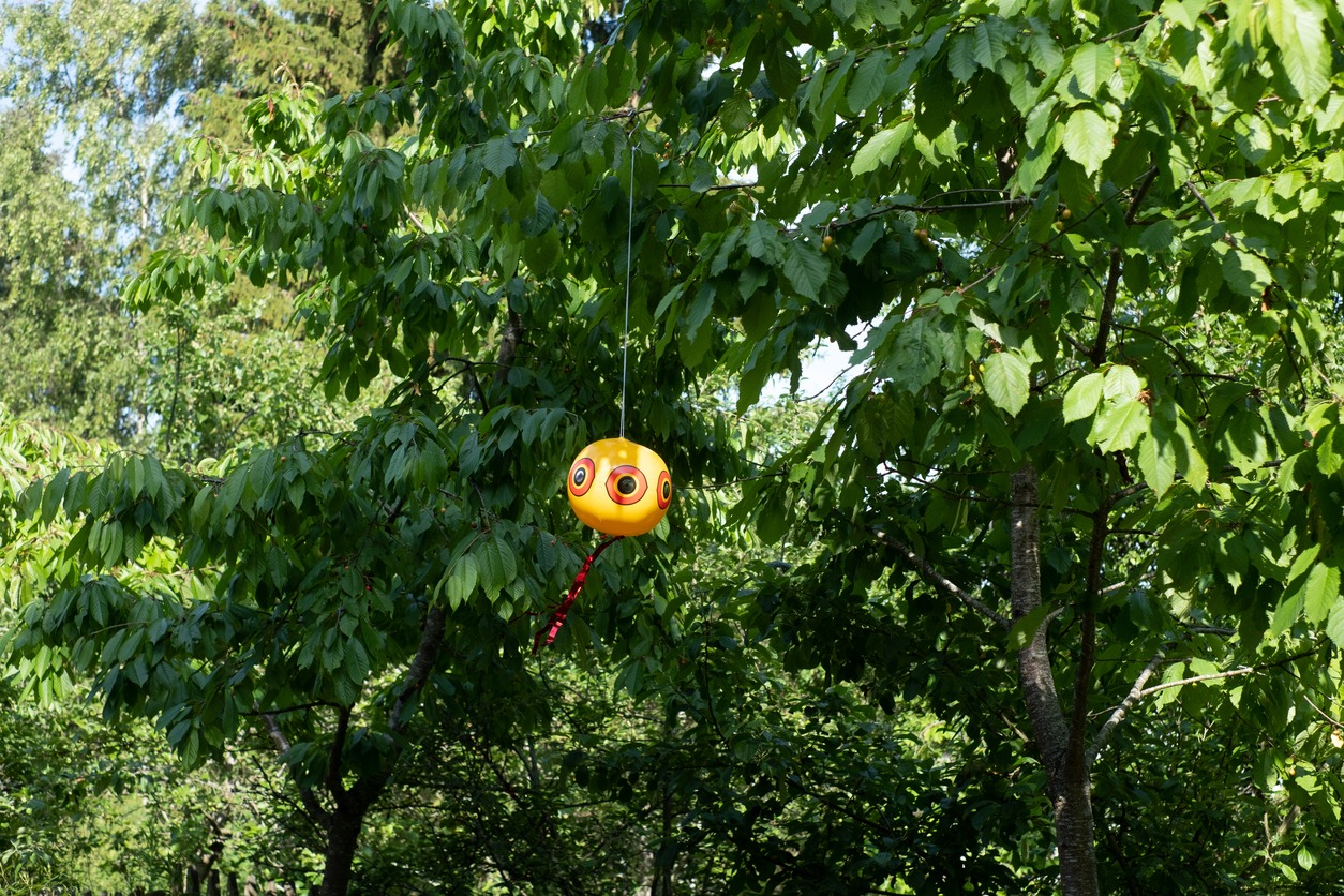 Scare-eye balloon