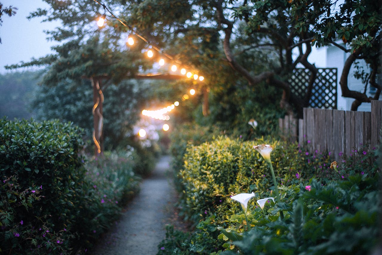 Harmonizing Lighting and Nature in Garden