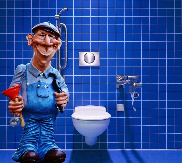 Repairing Your Leaky Toilet: A Step-by-step Guide