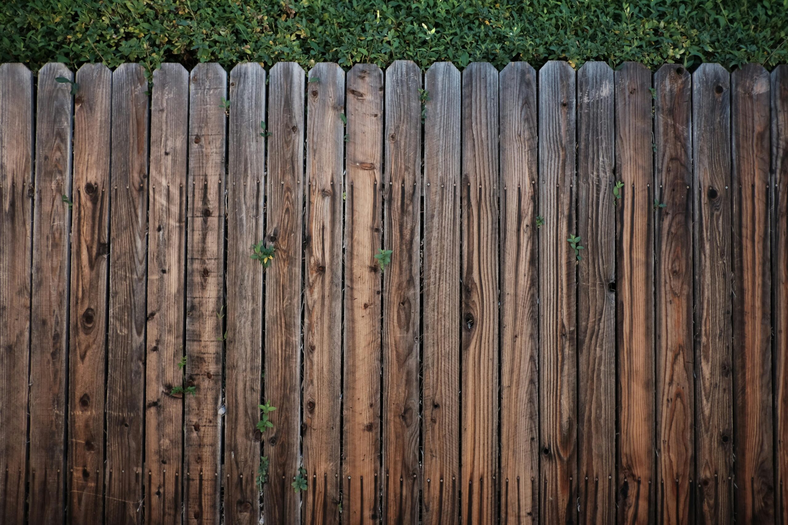 Wood Fences Pros and Cons