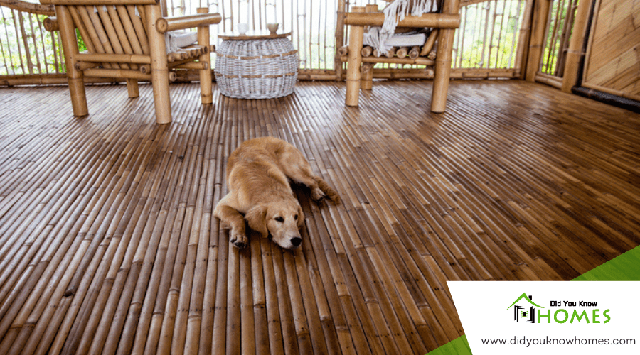 Bamboo Flooring Eco-Friendly and Durable Choice