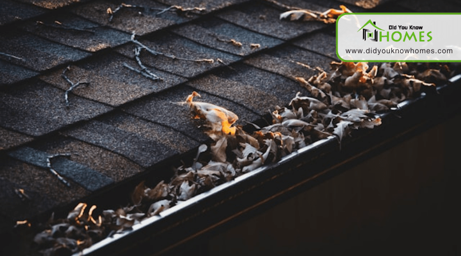 Common Gutter Problems and How to Fix Them