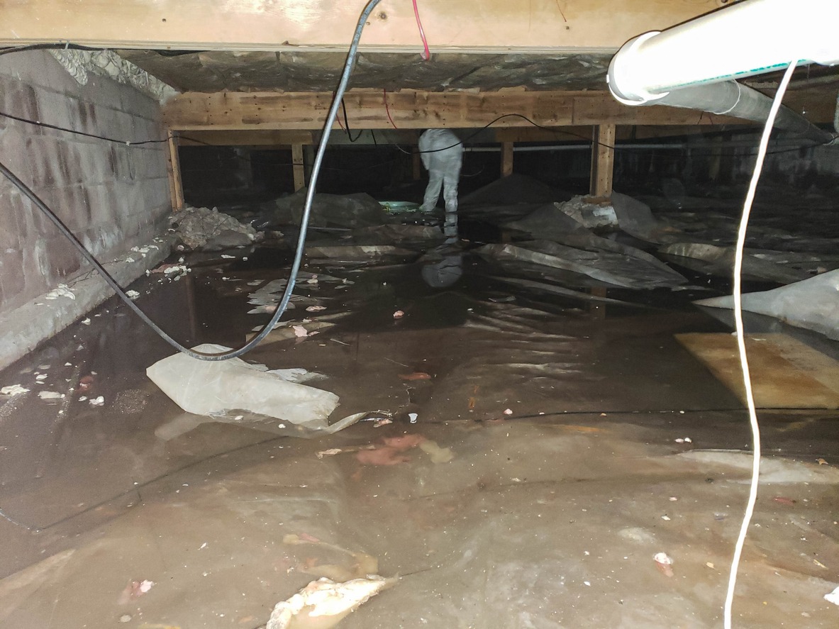 Defeating Dampness Your Guide to Waterproofing with Crawl Space Ninja