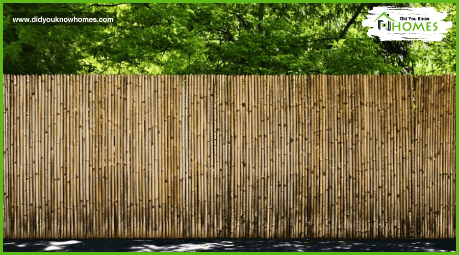 Eco-Friendly Fencing Options for Sustainable Homes