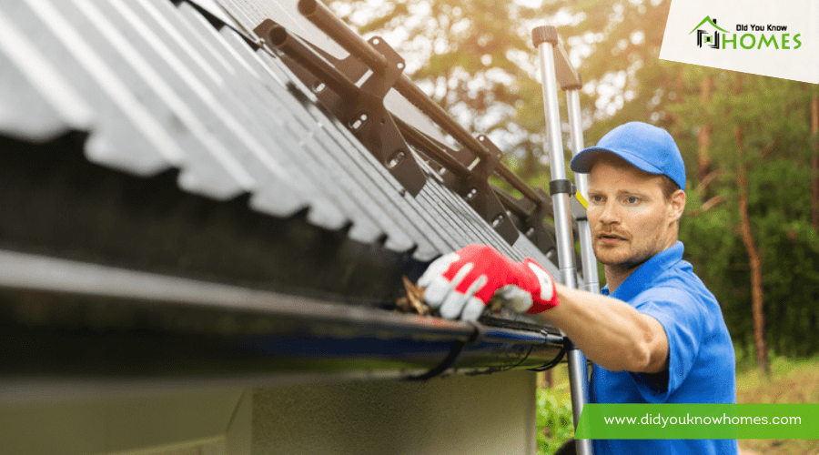 Step-by-Step Guide to Cleaning Your Home Gutters