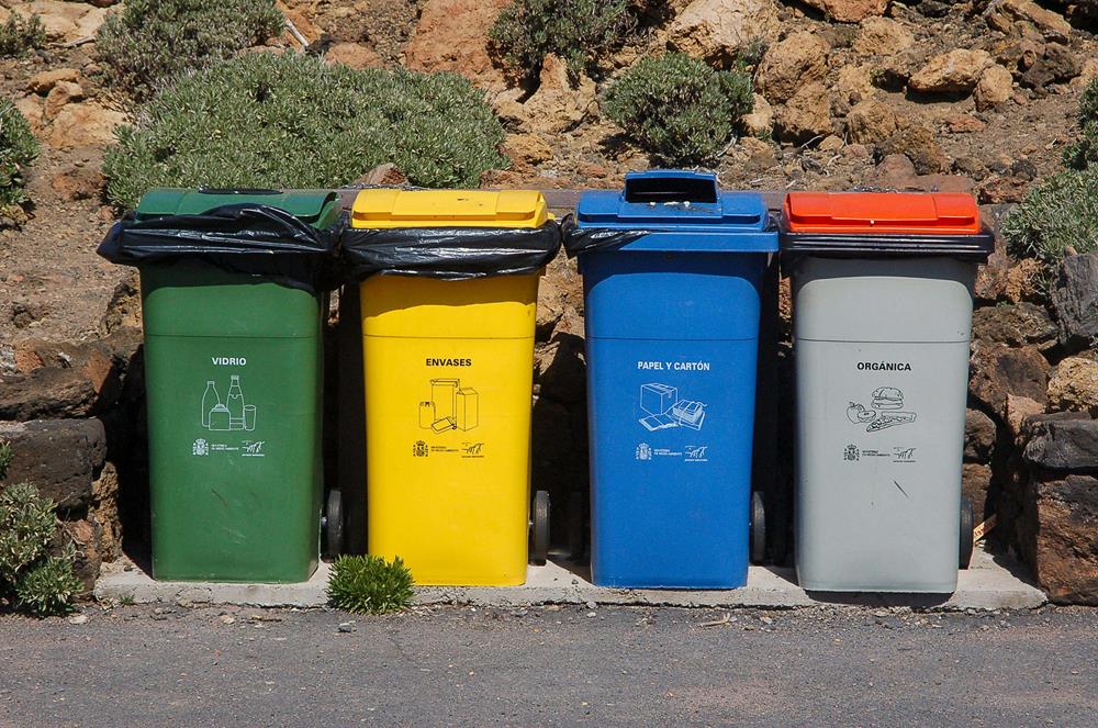 Eco-Friendly Disposal Options