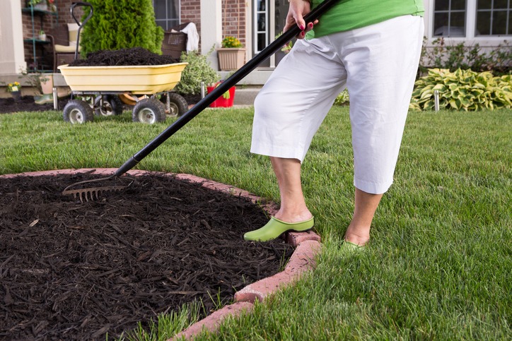 Mulch for Garden Beauty and Plant Health